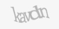 Güvenlik kodu